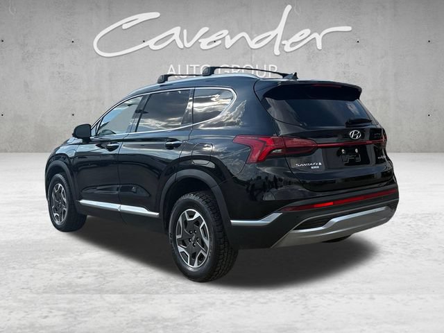 Used 2023 Hyundai Santa Fe Blue AWD/4WD image 14