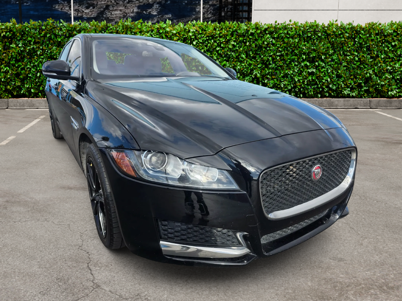 Used 2018 Jaguar XF Premium RWD image 1