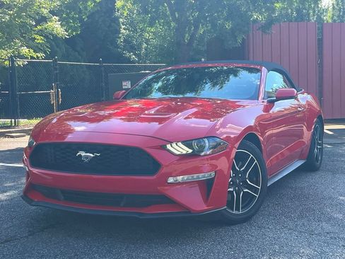 Used 2019 Ford Mustang Premium RWD image 1