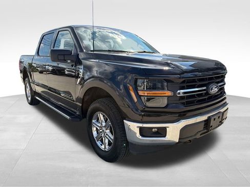 Used 2025 Ford F150 XLT w/ Equipment Group 301A Standard AWD/4WD image 3
