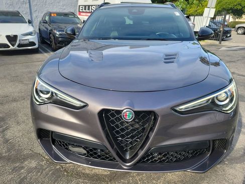 Used 2022 Alfa Romeo Stelvio Quadrifoglio w/ Active Assist Plus Package AWD/4WD image 32