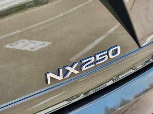 Used 2024 Lexus NX 250 250 Premium image 13