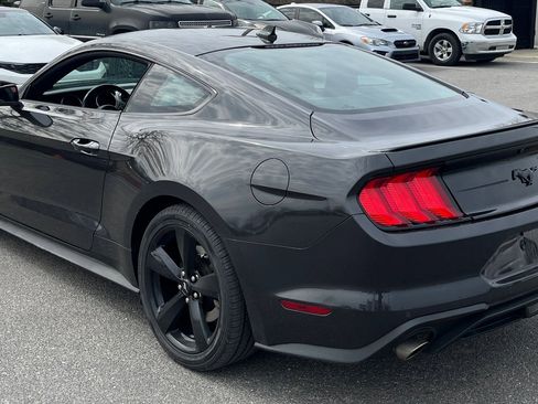 Used 2023 Ford Mustang Premium w/ Mustang Nite Pony Package image 6