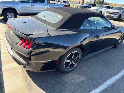 Used 2025 Ford Mustang Premium RWD image 4