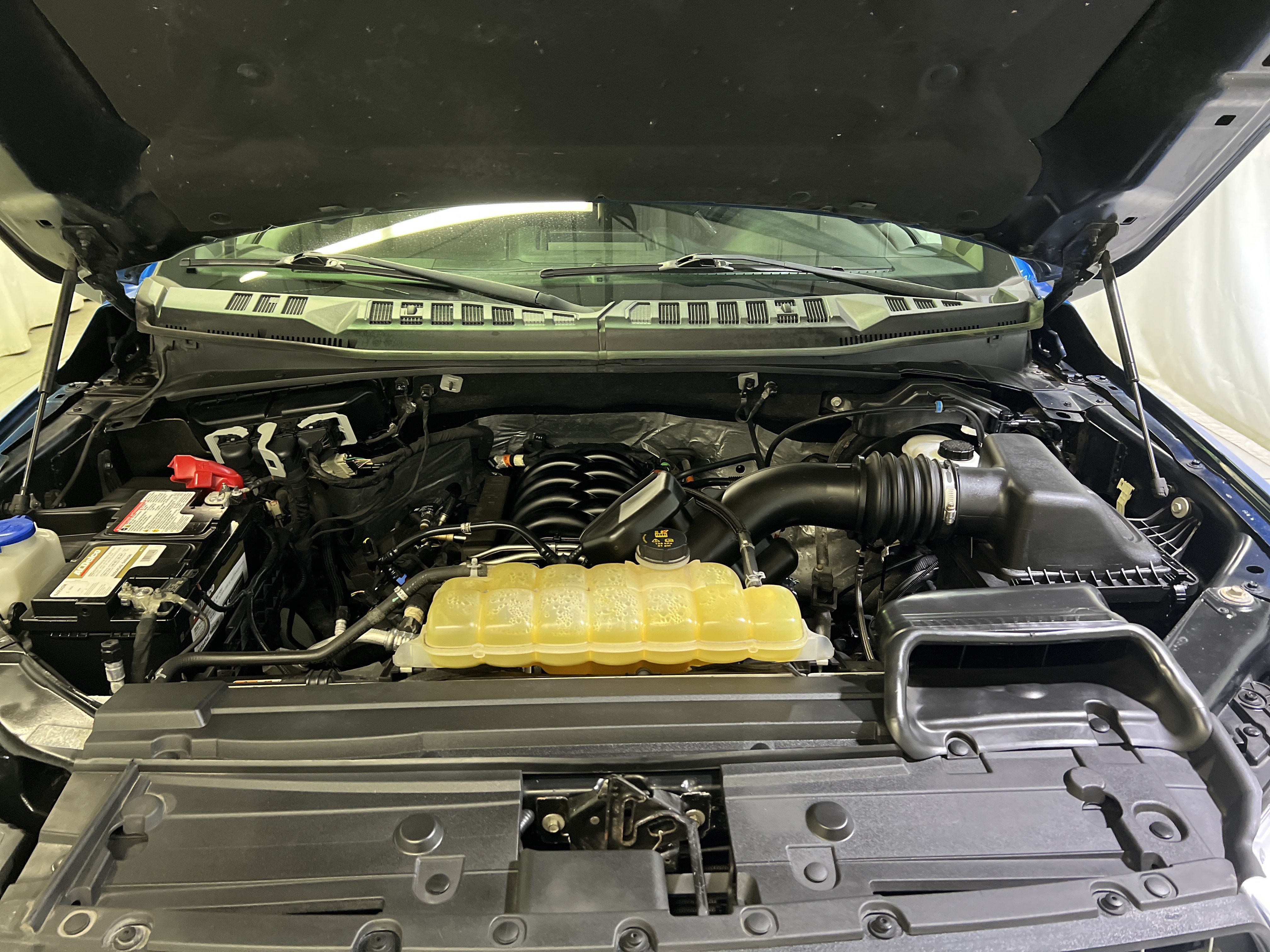 Used 2019 Ford F150 XLT w/ Equipment Group 302A Luxury AWD/4WD image 15