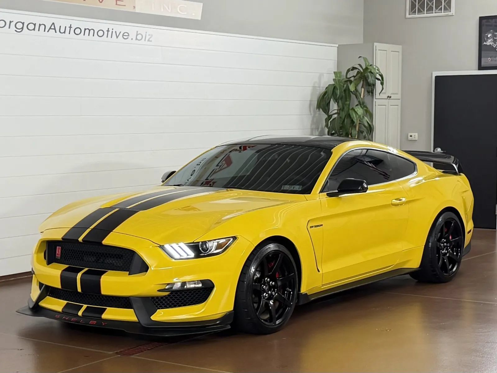 Used 2017 Ford Mustang Shelby GT350R w/ GT350R Equipment Group 920A RWD image 7
