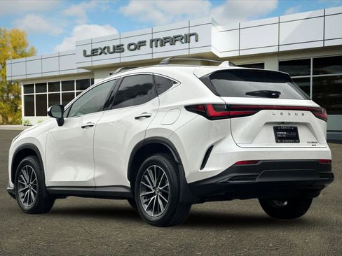 Certified 2025 Lexus NX 350h AWD w/ Premium Package image 3