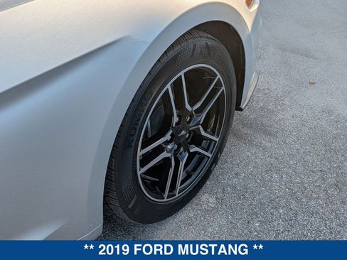 Certified 2019 Ford Mustang Premium image 12