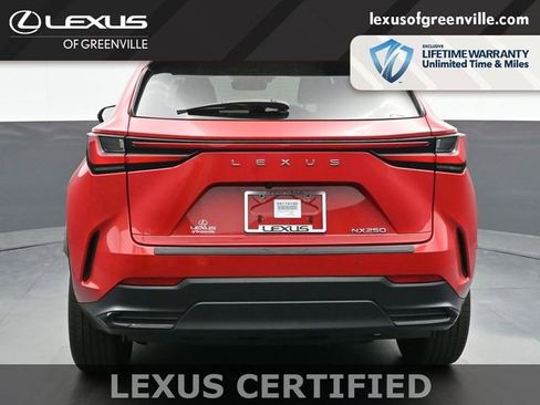 Certified 2024 Lexus NX 250 FWD w/ Cold Area Package image 7