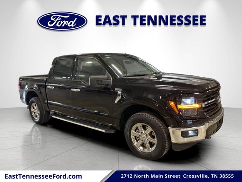 Used 2025 Ford F150 XLT w/ Equipment Group 301A Standard AWD/4WD image 1
