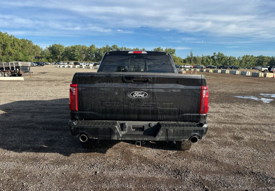 Used 2024 Ford F150 XLT w/ Equipment Group 302A MID AWD/4WD image 7