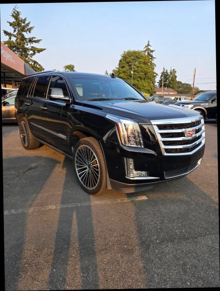 Used 2019 Cadillac Escalade Premium Luxury AWD/4WD image 53
