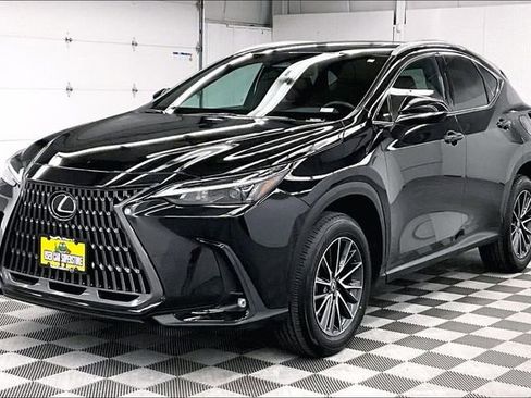 Used 2024 Lexus NX 250 250 Base w/ Cold Area Package image 12