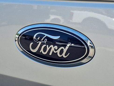 Used 2019 Ford F150 XLT w/ Equipment Group 302A Luxury AWD/4WD image 29