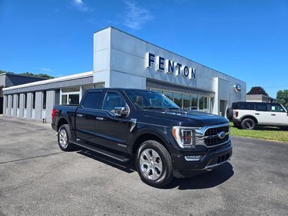 Used 2023 Ford F150 Platinum w/ Equipment Group 701A High