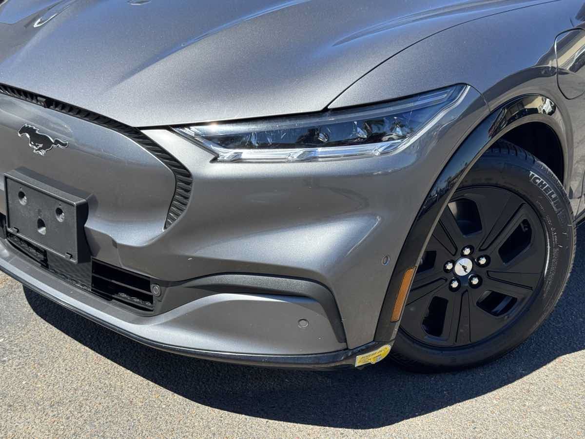 Used 2021 Ford Mustang Mach-E California Route 1 RWD image 3