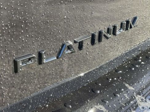 New 2025 Ford Expedition Platinum w/ Stealth Performance Package image 22