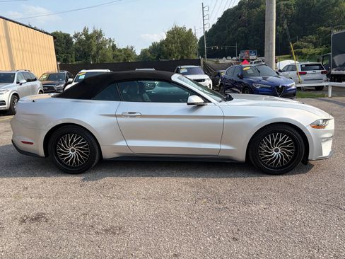 Used 2018 Ford Mustang Premium w/ Equipment Group 201A RWD image 4