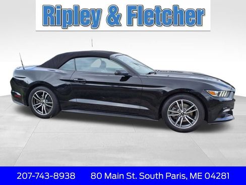 Used 2017 Ford Mustang Premium image 4