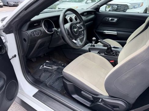 Used 2019 Ford Mustang Convertible RWD image 12