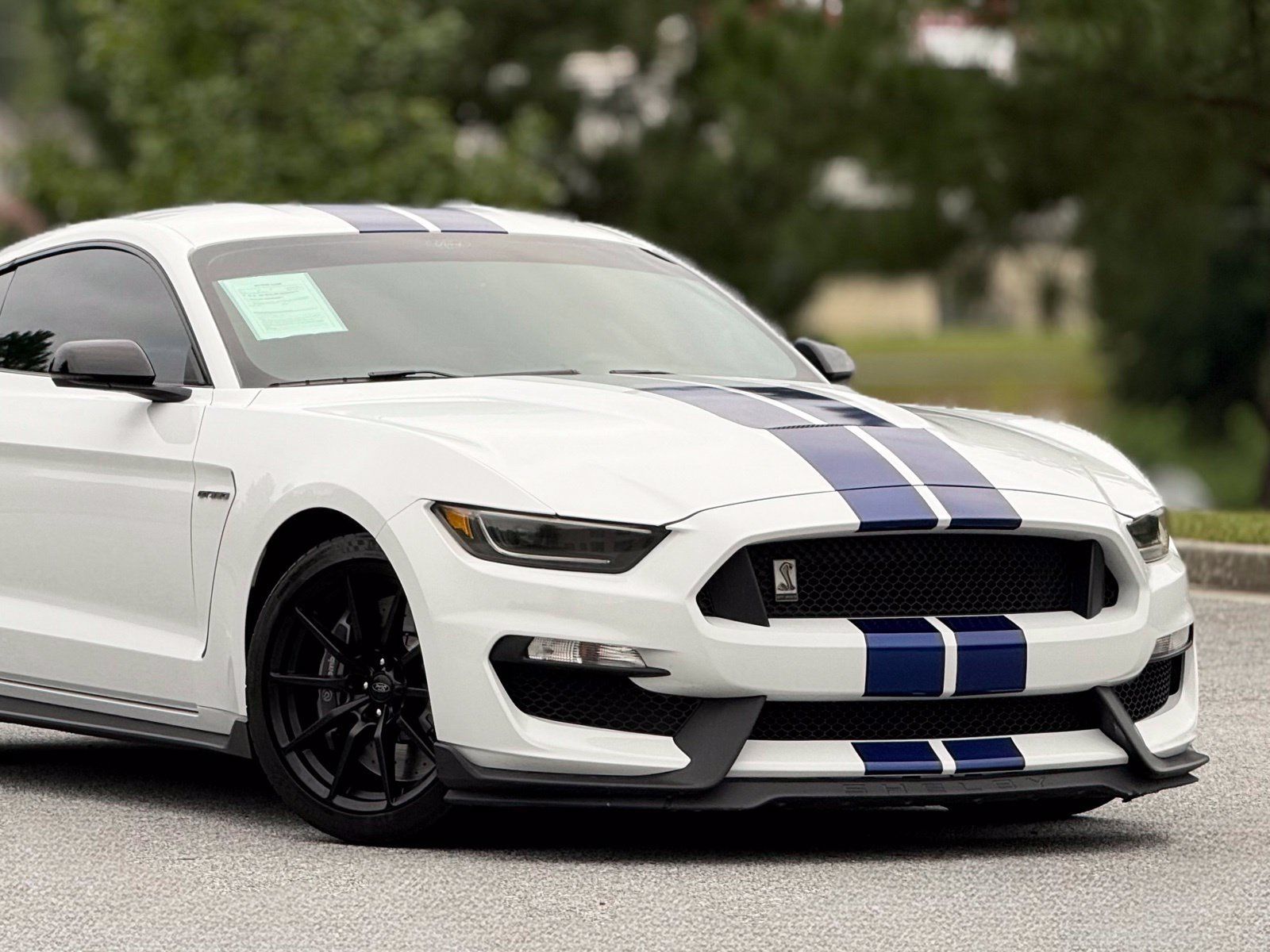 Used 2016 Ford Mustang Shelby GT350 w/ Technology Package RWD image 42