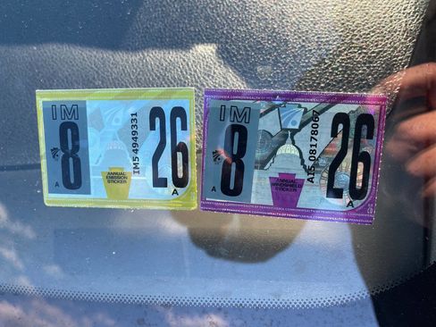 Used 2006 Ford Mustang GT image 43