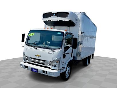 New 2024 Chevrolet Low Cab Forward 5500XD