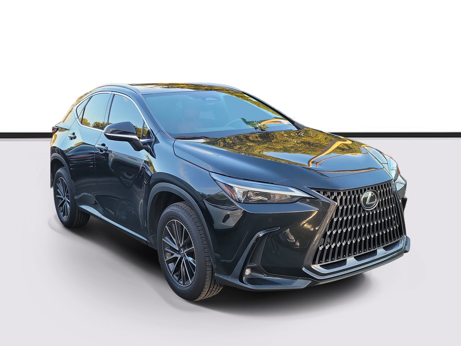 Used 2025 Lexus NX 250 FWD w/ Cold Area Package image 1