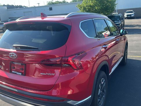 Used 2023 Hyundai Santa Fe Blue AWD/4WD image 4