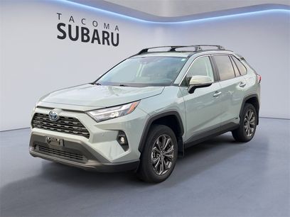 Used 2023 Toyota RAV4 XLE Premium