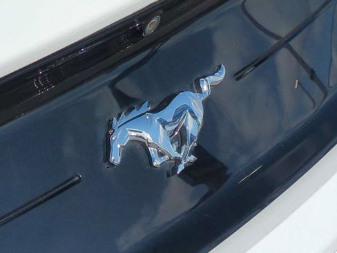 Used 2019 Ford Mustang Coupe RWD image 30