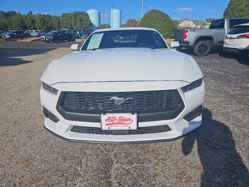 Used 2024 Ford Mustang EcoBoost image 2