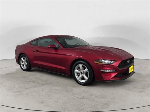 Used 2019 Ford Mustang Coupe image 7