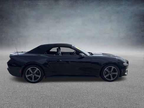 Used 2024 Ford Mustang Premium RWD image 5