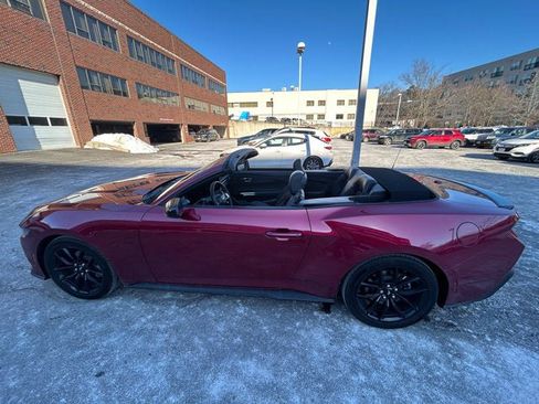 Used 2025 Ford Mustang Premium w/ Mustang Nite Pony Package image 22