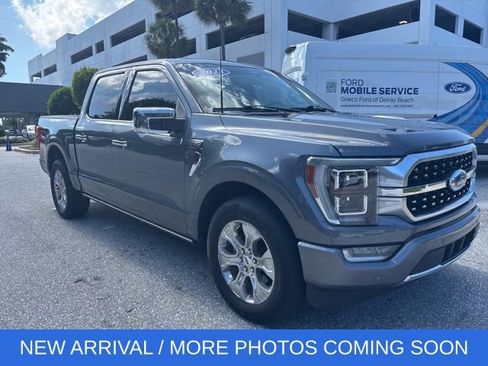 Used 2023 Ford F150 Platinum RWD image 1