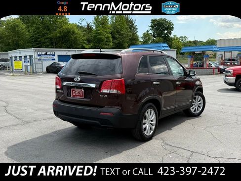 Used 2011 Kia Sorento EX w/ Premium Pkg AWD/4WD image 5