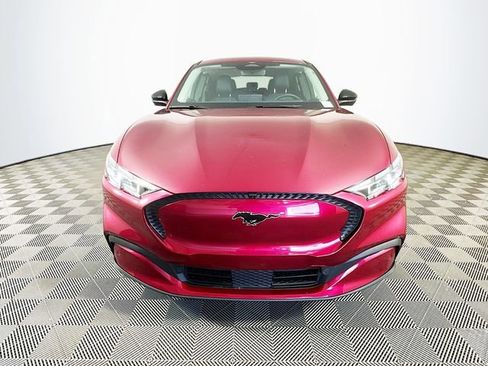 Used 2025 Ford Mustang Mach-E Select w/ Comfort Package Lite AWD/4WD image 5