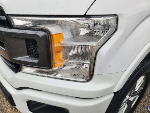 Used 2019 Ford F150 XLT w/ Equipment Group 302A Luxury AWD/4WD image 6