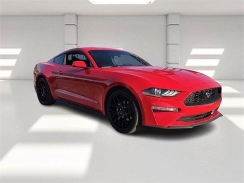 Used 2019 Ford Mustang Coupe w/ Equipment Group 101A image 7