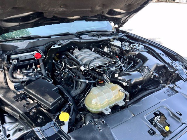 Used 2018 Ford Mustang GT Premium w/ Equipment Group 401A RWD image 44
