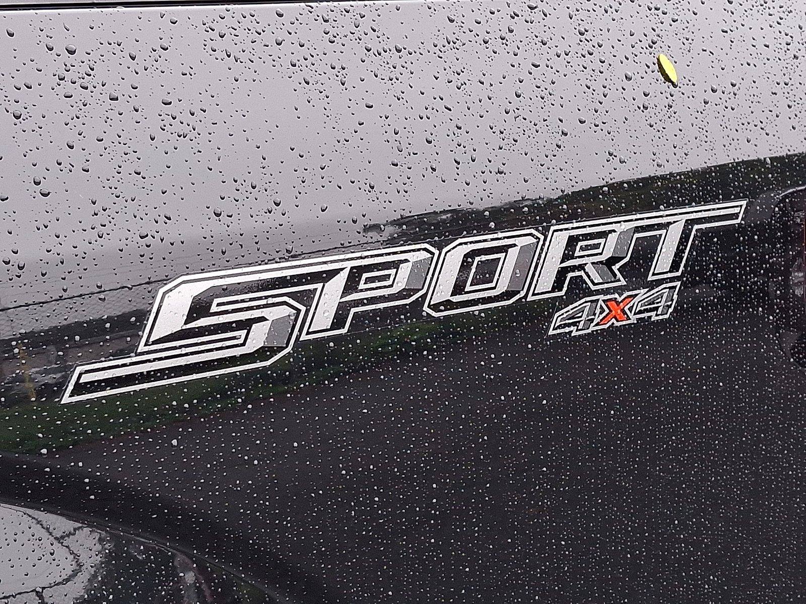 Used 2019 Ford F150 XLT w/ Equipment Group 302A Luxury AWD/4WD image 30