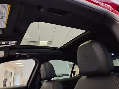 Used 2022 Alfa Romeo Stelvio Quadrifoglio w/ Active Assist Plus Package image 23