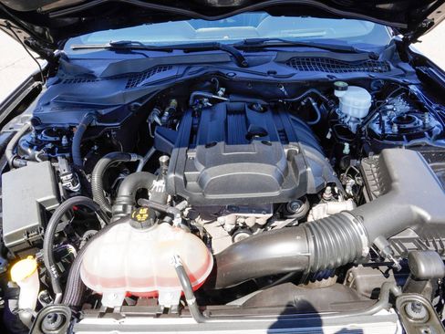 Used 2019 Ford Mustang Premium w/ Equipment Group 201A RWD image 18