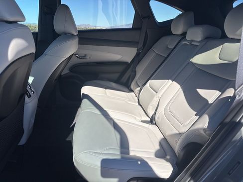 Used 2025 Hyundai Tucson Limited AWD/4WD image 13