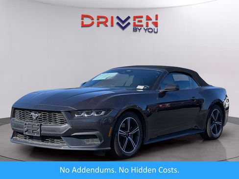 Used 2024 Ford Mustang Premium image 1