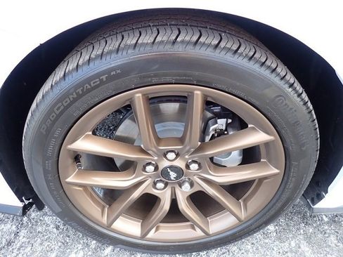 Used 2025 Ford Mustang Premium image 12