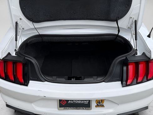 Used 2019 Ford Mustang Premium RWD image 20