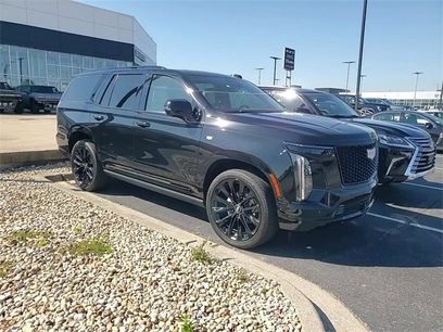 Certified 2025 Cadillac Escalade Sport Platinum w/ LPO, ONYX Package
