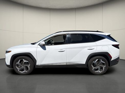 Used 2024 Hyundai Tucson Limited FWD image 4
